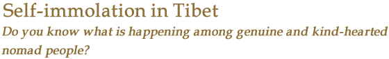 チベットの“焼身抗議”－心優しき遊牧の民にいま何が起きているかあなたは知っていますか？